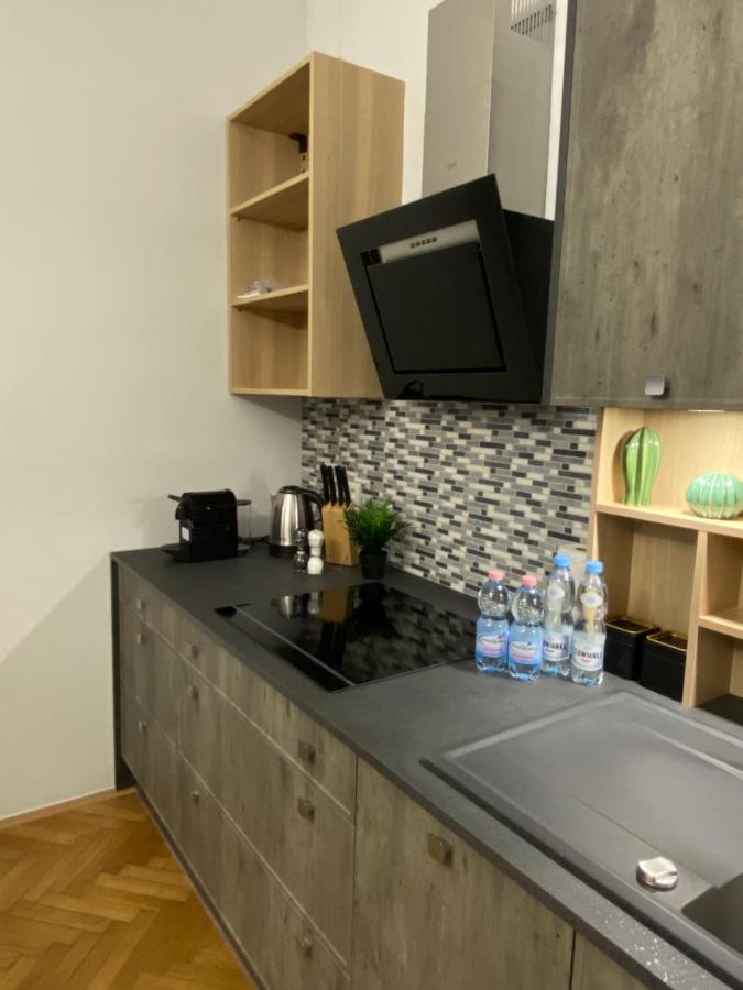 Dunin Majestic Residence 4 크라쿠프 외부 사진